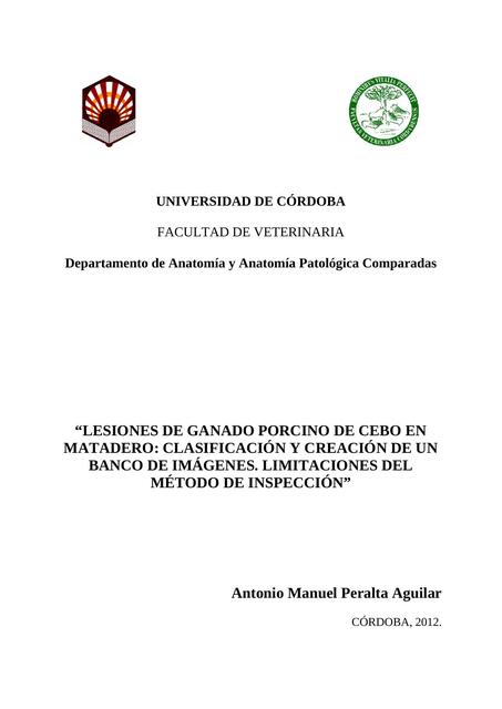 Lesiones de ganado porcino de cebo en matadero: clasificación y creación de un banco de imágenes. Limitaciones del método de inspección