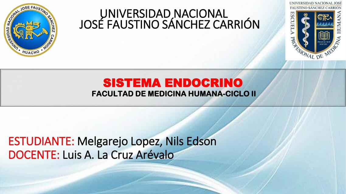 Sistema Endocrino