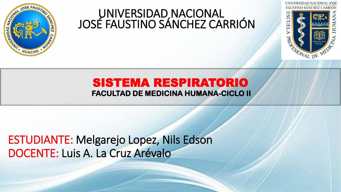 Sistema Respiratorio