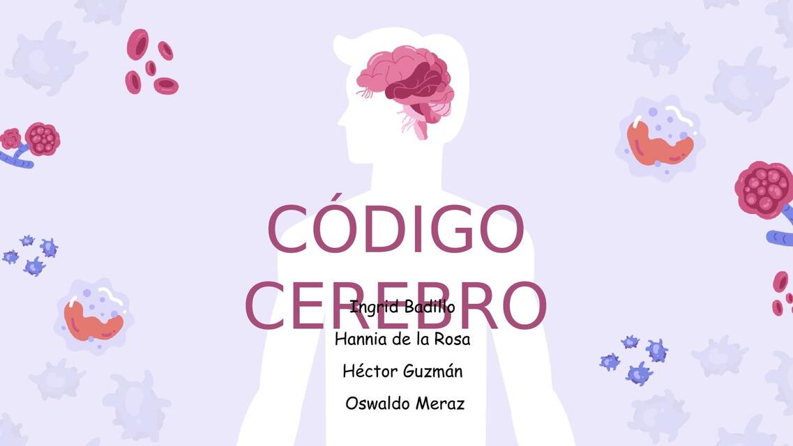 Código Cerebro 