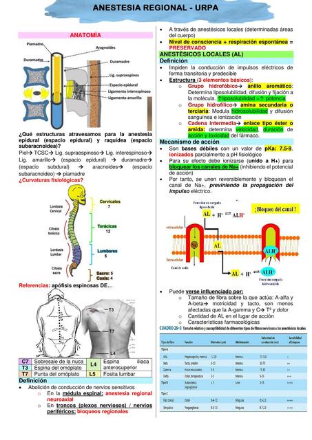 Anestesia Regional- URPA 