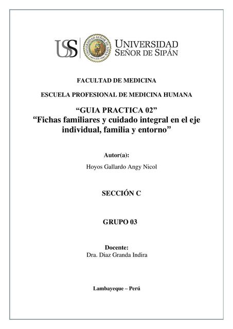 Fichas familiares y cuidado integral en el eje individual, familia y entorno