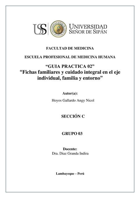 Fichas Familiares y Cuidado Integral en el Eje Individual, Familia y Entorno 