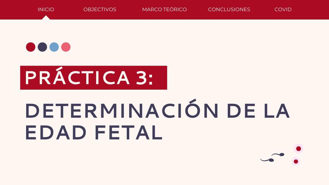 Edad Fetal