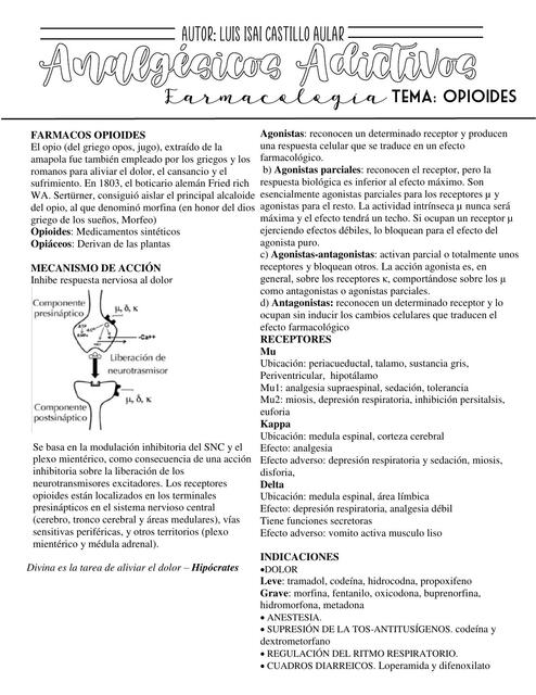 Analgesicos adiptivos 