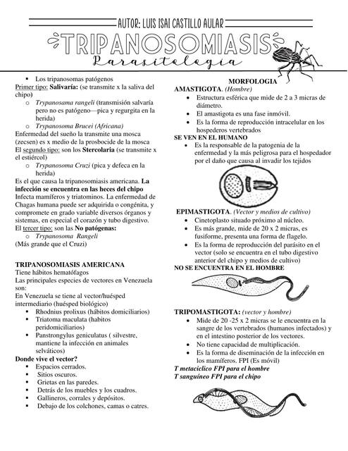 Tripanosomiasis  