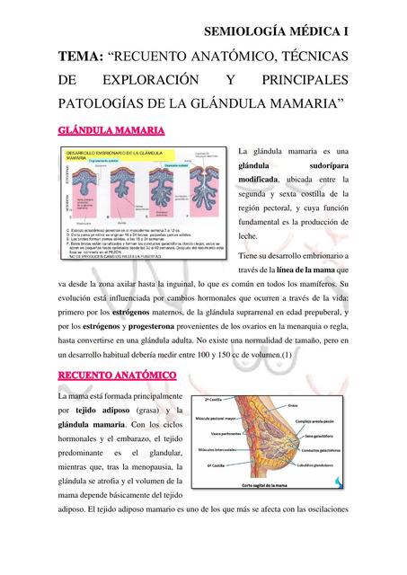 TÉCNICAS DE EXPLORACIÓN DE LA GLÁNDULA MAMARIA