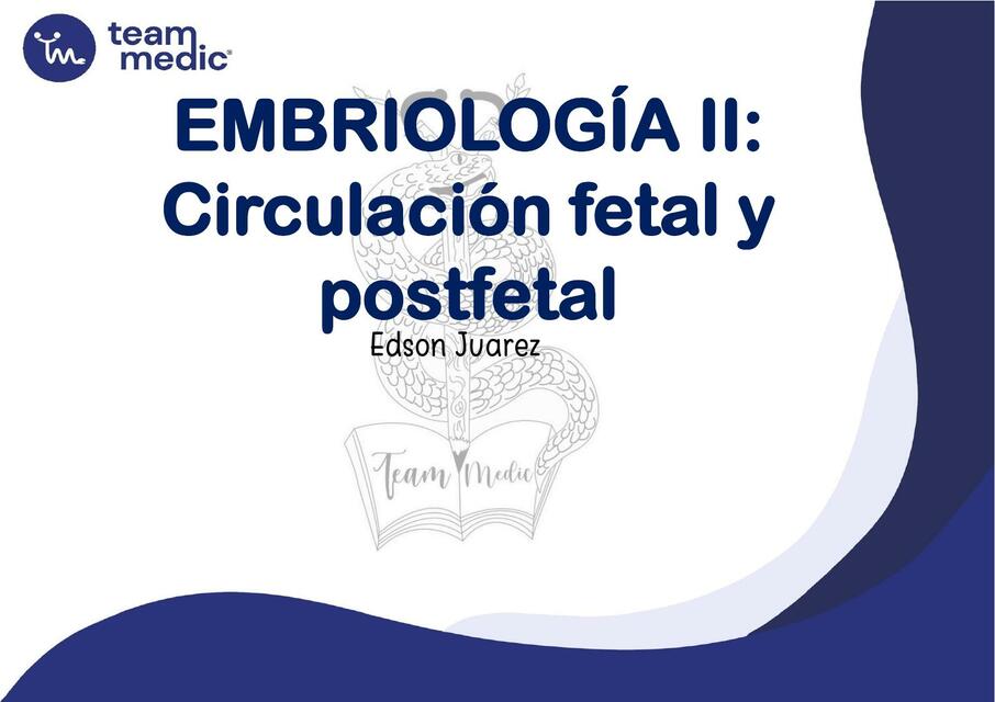 Embriología II: circulación fetal y postfetal