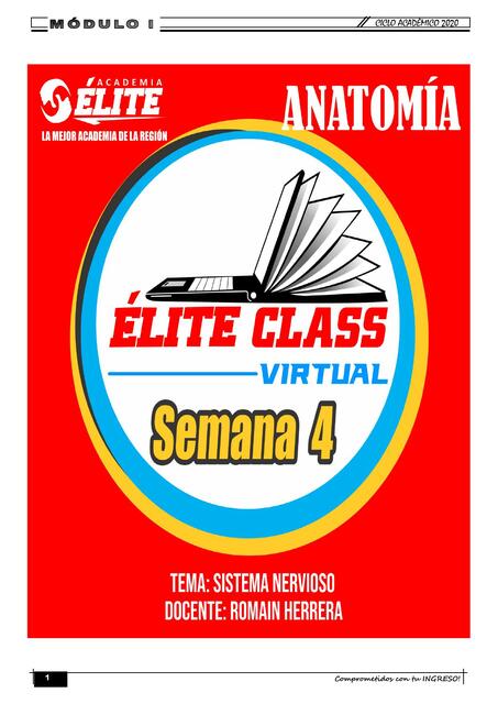 Élite class - Semana 4 - Anatomía - Sistema nervioso