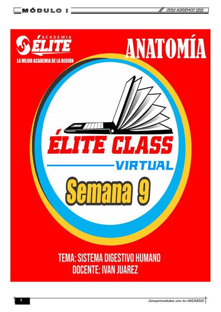 Élite class - Semana 9 - Anatomía - Sistema digestivo humano