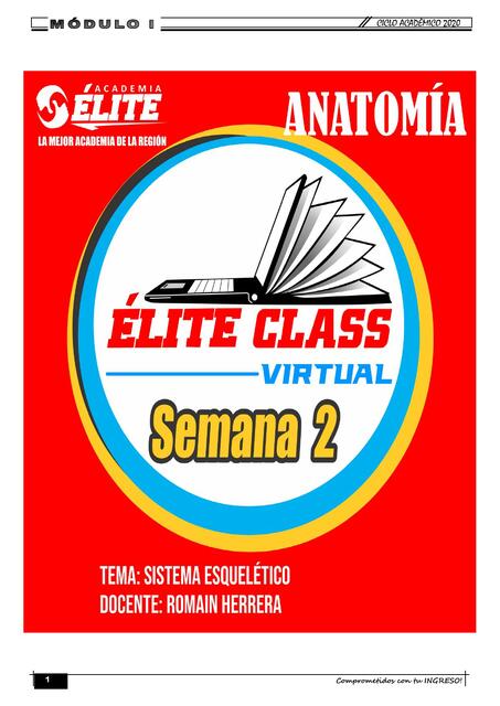 Élite class - Semana 2 - Anatomía - Sistema esquelético