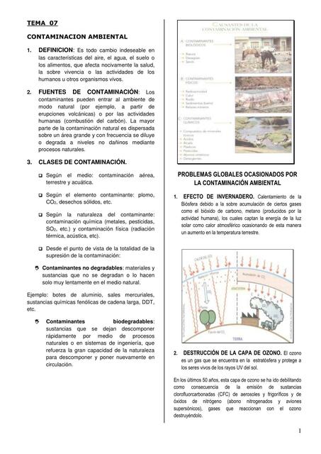 Tema 07 contaminación ambiental