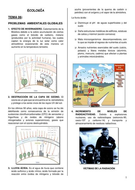 Tema 06: problemas ambientales globales