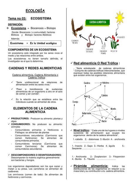 Ecosistema 