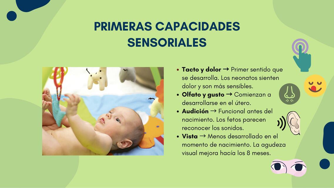 Primeras Capacidades Sensoriales