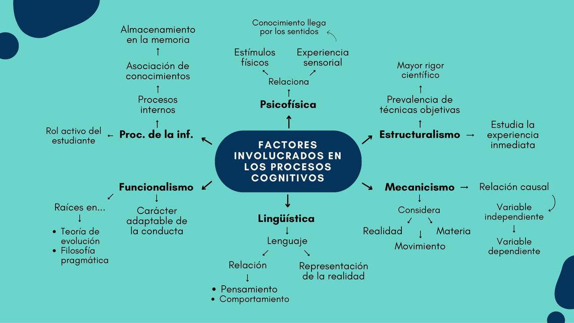 Factores involucrados en los procesos cognitivos