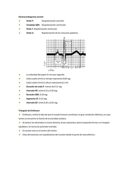 GUÍA | Electrocardiograma