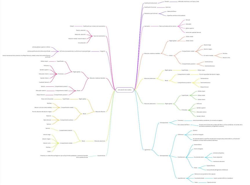 Articulación coxofemoral 