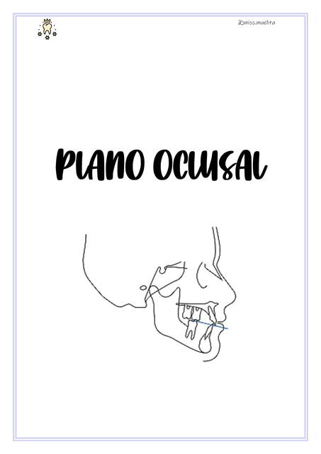 PLANO OCLUSAL