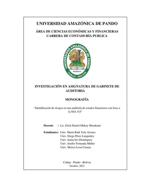 Identificación de riesgos en una auditoría de estados financieros con base a  la NIA 315