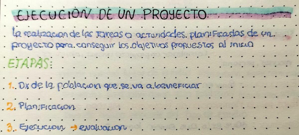 Ejecución de un Proyecto