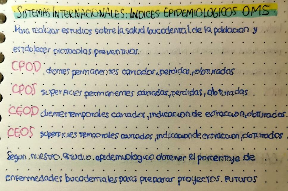 Índices Epidemiológicos