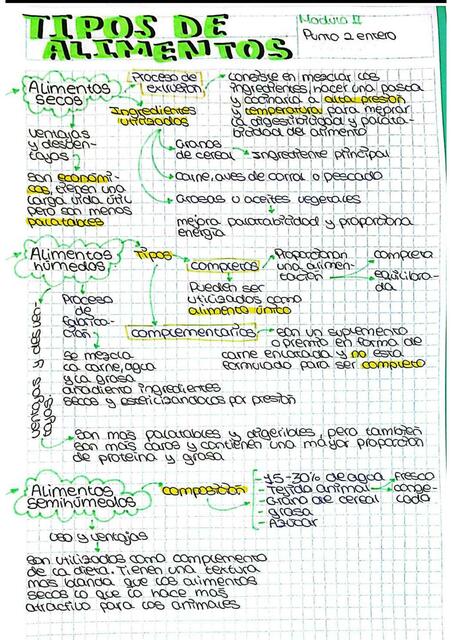 Tipos de alimentos