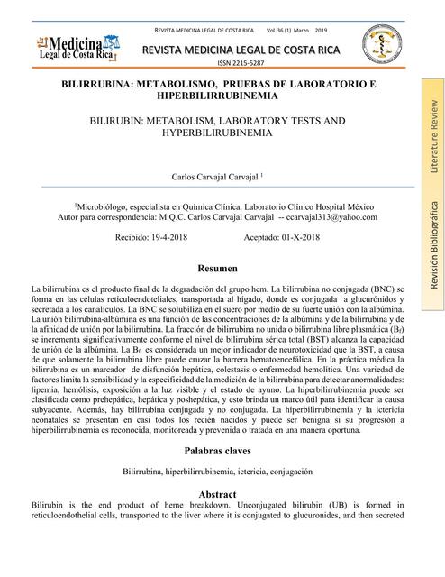 Articulo de metabolismo de la bilirrubina