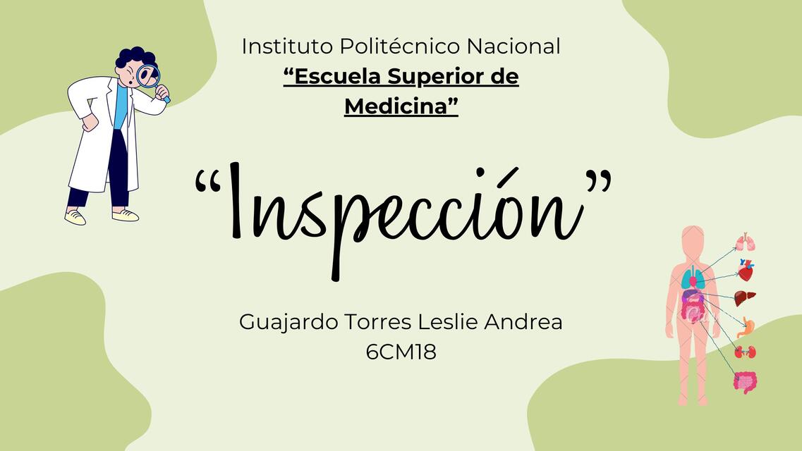 Inspección 