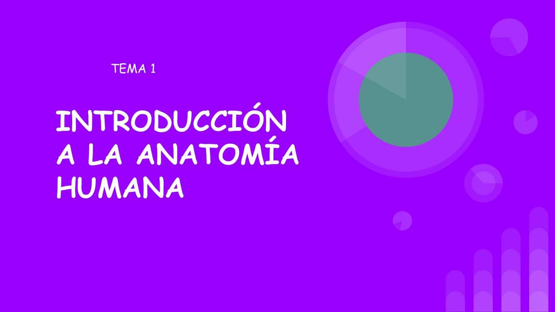 Introducción a la Anatomía Humana 