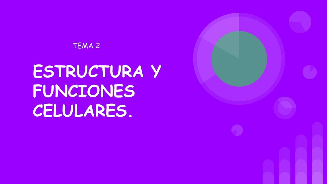 Estructura y Funciones Celulares 