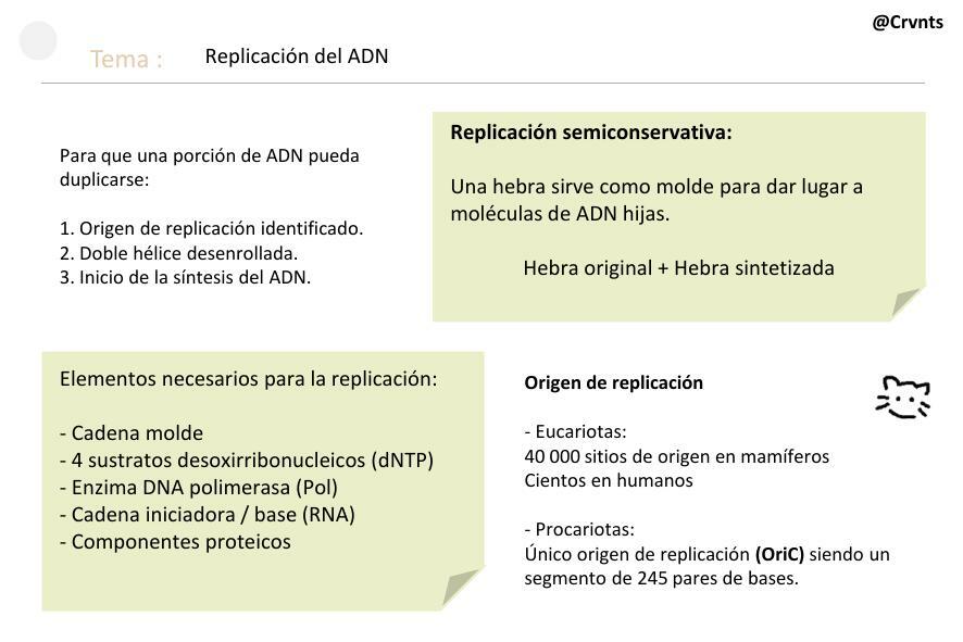 Replicación del ADN