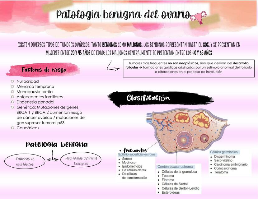 Patología benigna de ovario