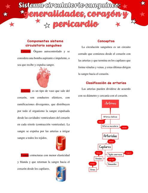 Sistema circulatorio sanguíneo: generalidades, corazón y pericardio 