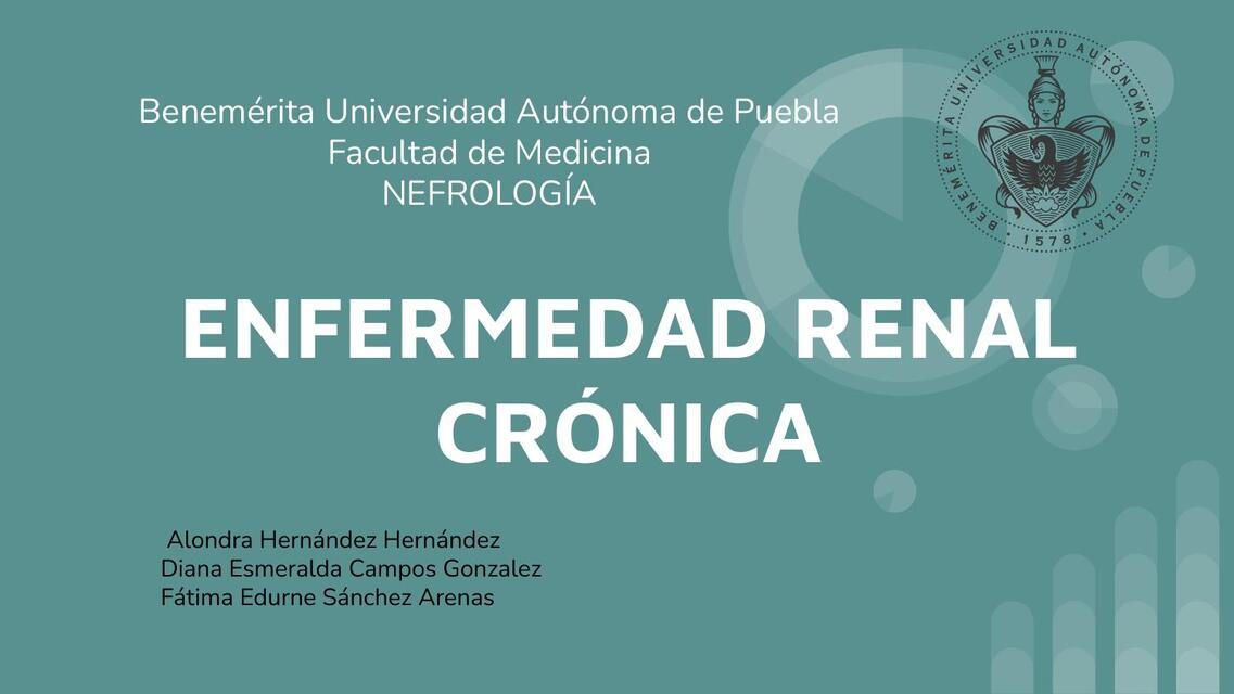 Enfermedad renal crónica 