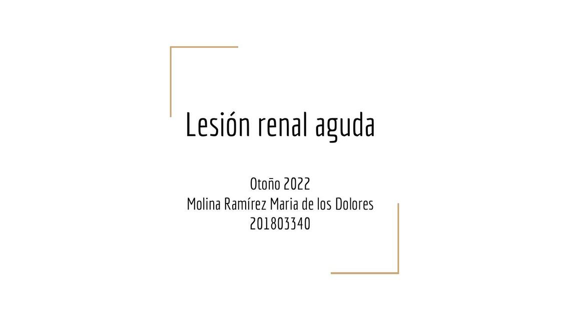 Lesión renal aguda 1