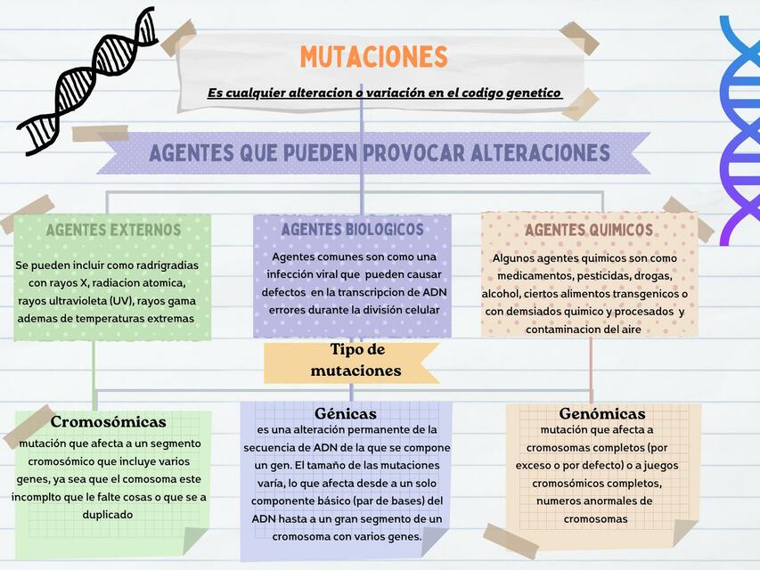 Mutaciones 