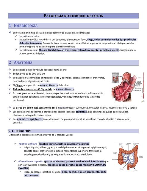 Patología No Tumoral del Colon