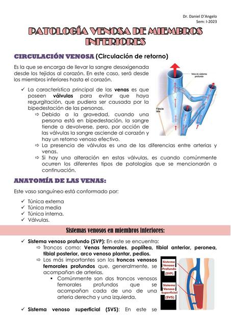 Patología Venosa de Miembros Inferiores