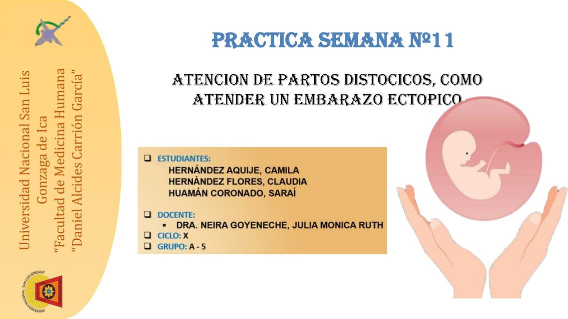 Atención de Partos Distócicos 