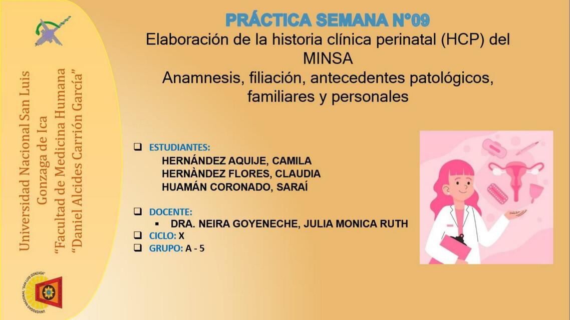 Elaboración de la Historia Clínica Perinatal del MINSA 