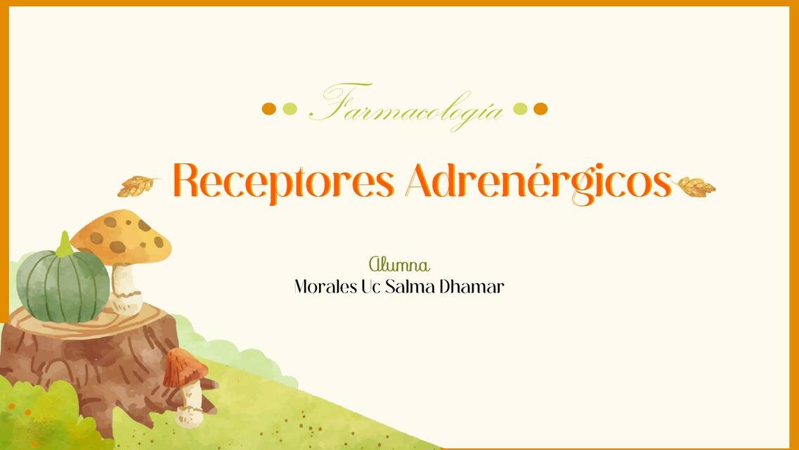 RECEPTORES ADRENERGICOS FARMACOLOGÍA