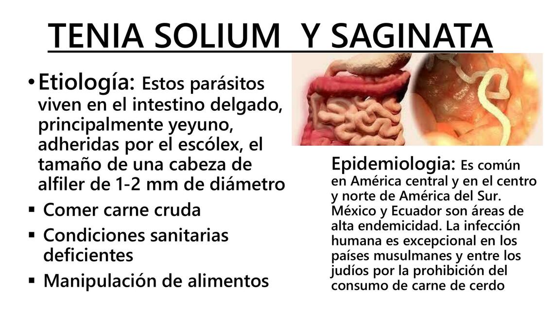 Tenia Solium y Saginata 