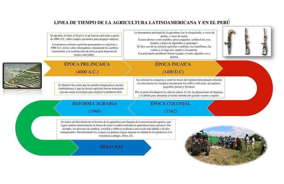 Linea de tiempo de la agricultura latinoamericana y en el Perú | franz