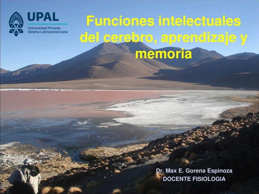 Funciones intelecto y memoria FISIOLOGIA