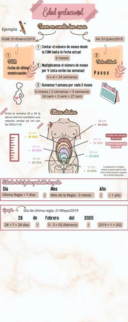 Edad gestacional