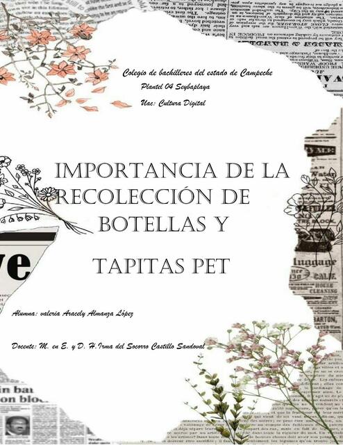 Importancia de la recolección de botellas y tapitas de pet