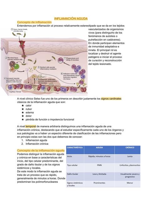 Inflamación aguda