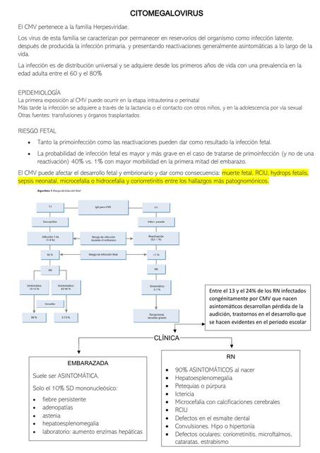 CITOGAMELOVIRUS - Infecciones congénitas y perinatal