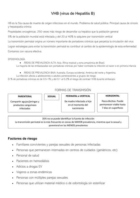 VHB Infecciones congénitas y perinatales TORCH